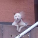 참 이미지