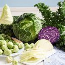 자우당부부한의원 이미지