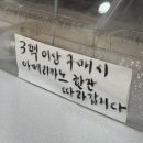 떡매마을 | 하회마을, 하회마을 개화 상황, 하회마을 주차 및 벚꽃 스팟 꿀팁, 하회별신굿탈놀이 후기, 떡매치기 체험