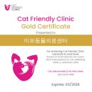 호수동물의료센터 네이버블로그
