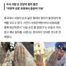 참마 이미지