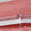 중앙공원 산책로 이미지