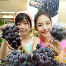 (주)거봉 이미지