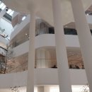 구월안경박사(제우스안경) | 신세계 폼페이전 갔다 온 후기