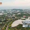 동백민박 이미지