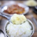 낙지세상 이미지