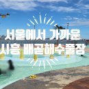 바다PC | 서울 근교 야외 수영장 서울에서 가까운 바다 뷰! 시흥 배곧해수풀장 예약·입장료·솔직 후기