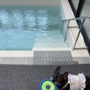 굿마트태안군청로점 | 태안 독채 애견동반 풀빌라 도그데이 애견펜션