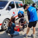 바다 용어: Dolphin(돌핀) 돌고래(X)? 아님! 이미지