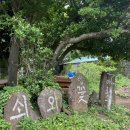 [제주/성산] 성산일출봉 근처 제주 아이랑 승마체험장 "쇠와꽃승마장" 방문후기