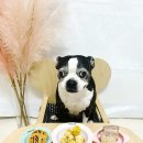 와와네 수제간식 이미지