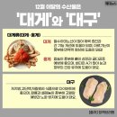 12월 10일(수) 어제 &#39;프로보노&#39; 재방보고 쓰는 줄거리 요약 이미지