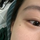 사파갈래말래갈래말래근데날씨가애매하긴해[하노이0.5박]