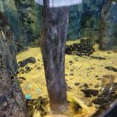 (주)알비노 이미지