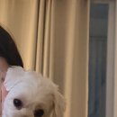 개중목욕탕 이미지