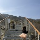 산림놀이 | 거창 가볼만한 곳 거창 산림 레포츠파크 트리탑&amp;손 전망대, 생태놀이터 솔직후기