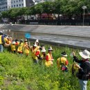 강북초등 이미지