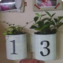 작은깡통 이미지