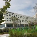 다다크린 환경
