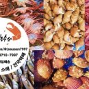 싱싱농수산 이미지