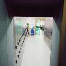 궁전라벤더 이미지