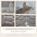 말끔이 | 클래리티곰팡이제거제 욕실곰팡이제거제 추천, 실리콘 곰팡이까지 말끔하게
