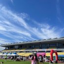 충주종합운동장 다목적경기장 | 충주인이 추천하는 충주마라톤 후기(맛집, 여행 코스)