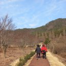 오봉산 주차장 이미지