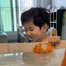 1154 | 👦🏻+1148-1154 | 6월 셋째 주 기록