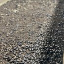 네이처테이너 농업회사법인 주식회사 이미지