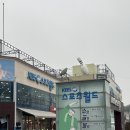 KBS스포츠월드 | 강서 KBS 스포츠월드 아레나 주말 자유수영 최고 만족 후기 (50m) 🏊‍♀️