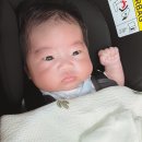 예진어린이집 | 2개월 아기 접종열 노란눈꼽, 눈물샘, bcg 피내용 고름 검진하고옴