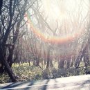 제주섬마리 이미지