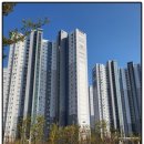 써밋주민공인중개사사무소 이미지