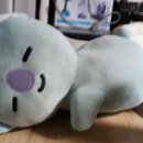 타타코 이미지