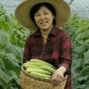 이기순농장 | 아삭아삭~ 오이소박이 만드는법. w. 가브리엘 농장 백다다기 오이