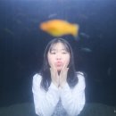 코코사진관 - 원주시 천매봉길 17 | 코코사진관