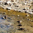 배내미낚시터 이미지