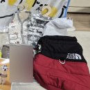 펫# | 🐶 대전펫페어 후기