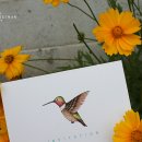 허밍(HUMMING) 이미지
