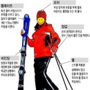 베테랑스키 이미지