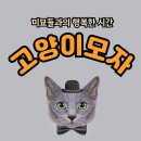 고양이 모자 | 가좌동 고양이카페 &#39;고양이모자&#39;