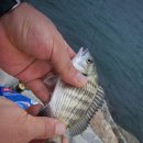 동해순대국집 이미지