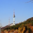 남산 이미지