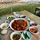 금화애견 | 근교 경북 칠곡 물에 발 담그고 닭백숙 아이랑 가기 좋은 애견동반 시간제한없는 계곡식당 추천 금화식당