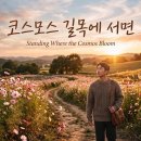 꽃 신곡 25(코스모스, 발라드) : 코스모스 길목에 서면 Standing Where the Cosmos Bloom 이미지