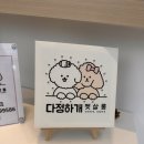 다정하개 펫살롱 이미지