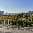 (주)코이너스인터내셔날 | 대형 카페 베이커리 '9로 평상' 가족 나들이와 데이트 코스로 최고 푸른수목원 이 훤히 보이는 카페 후기