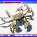 발랑낚시터 이미지
