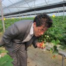 박상기농장 이미지